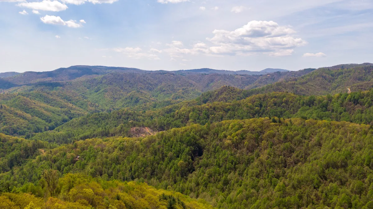 A wide, panoramic view of rolling hills blanketed with dense forest, distant blue-tinged mountains on the horizon, and a clear blue sky overhead. The landscape evokes a sense of tranquility and untouched wilderness, ideal for hiking, birdwatching, and nature photography.